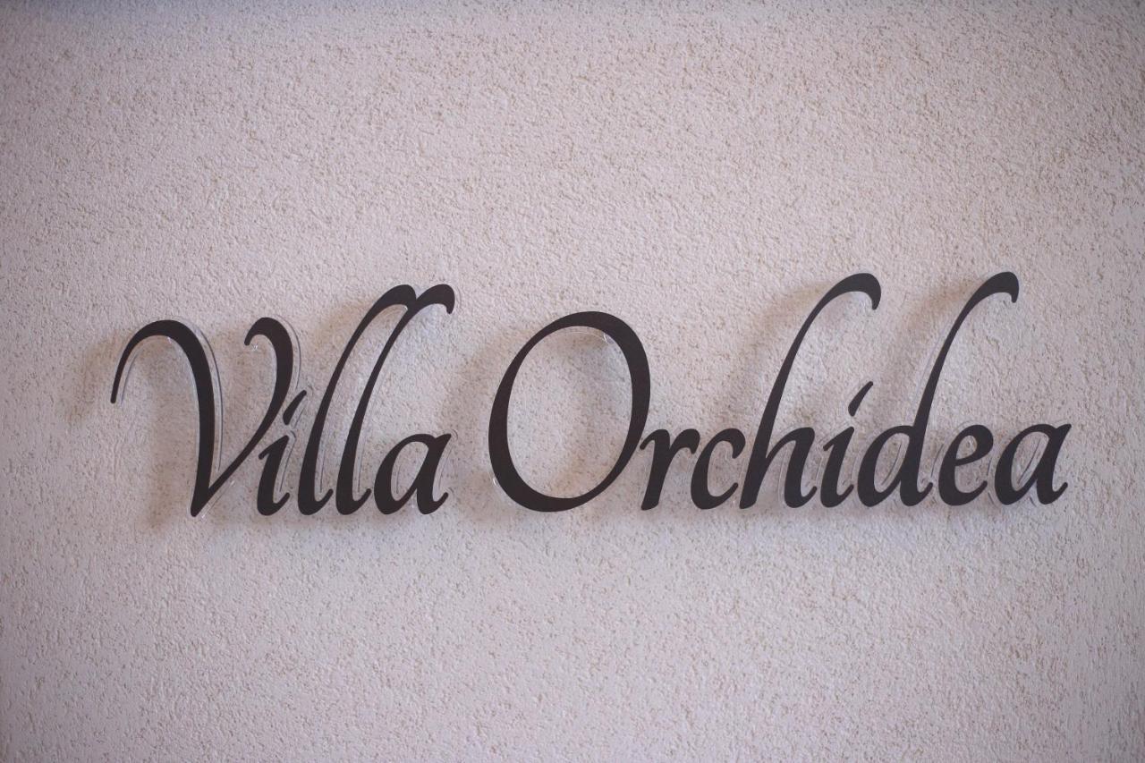 B&B Villa Orchidea ริกาดี ภายนอก รูปภาพ