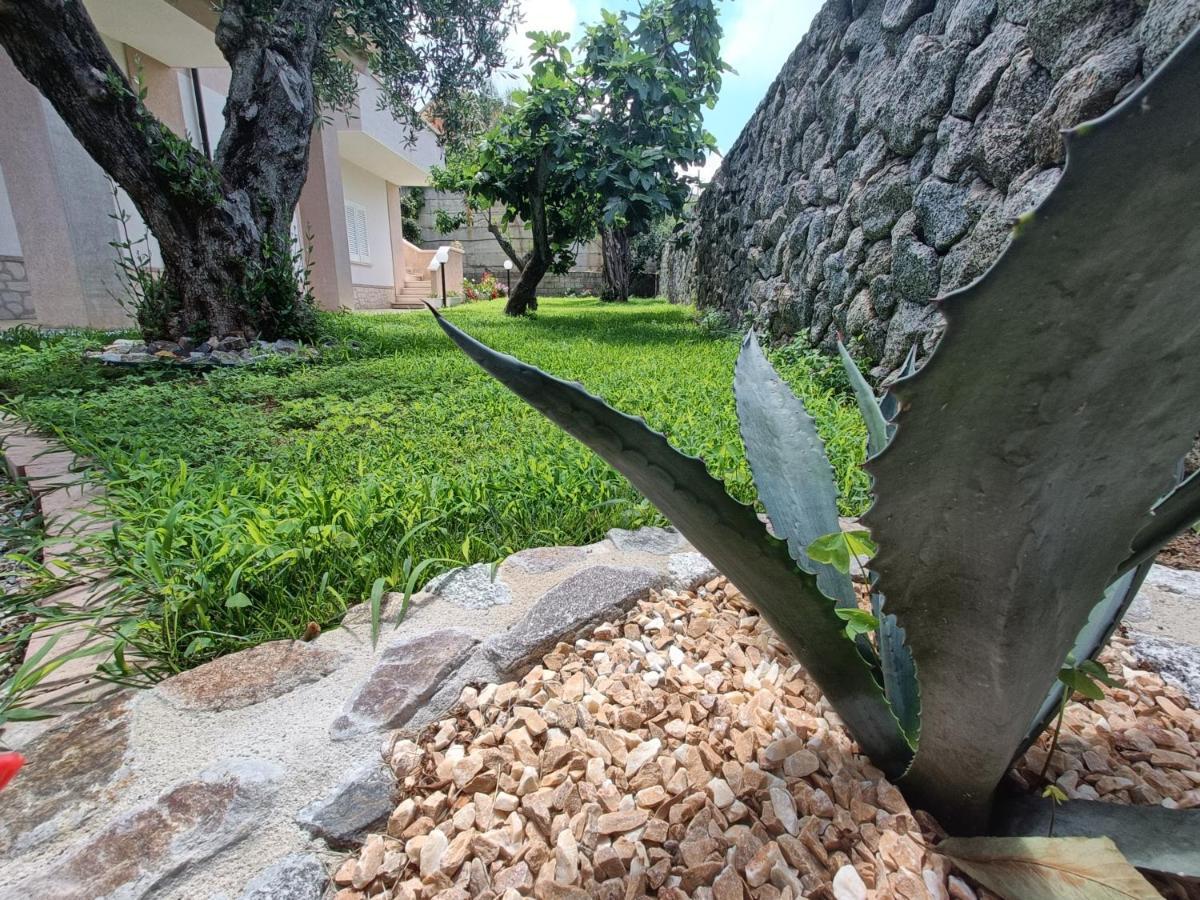 B&B Villa Orchidea ริกาดี ภายนอก รูปภาพ